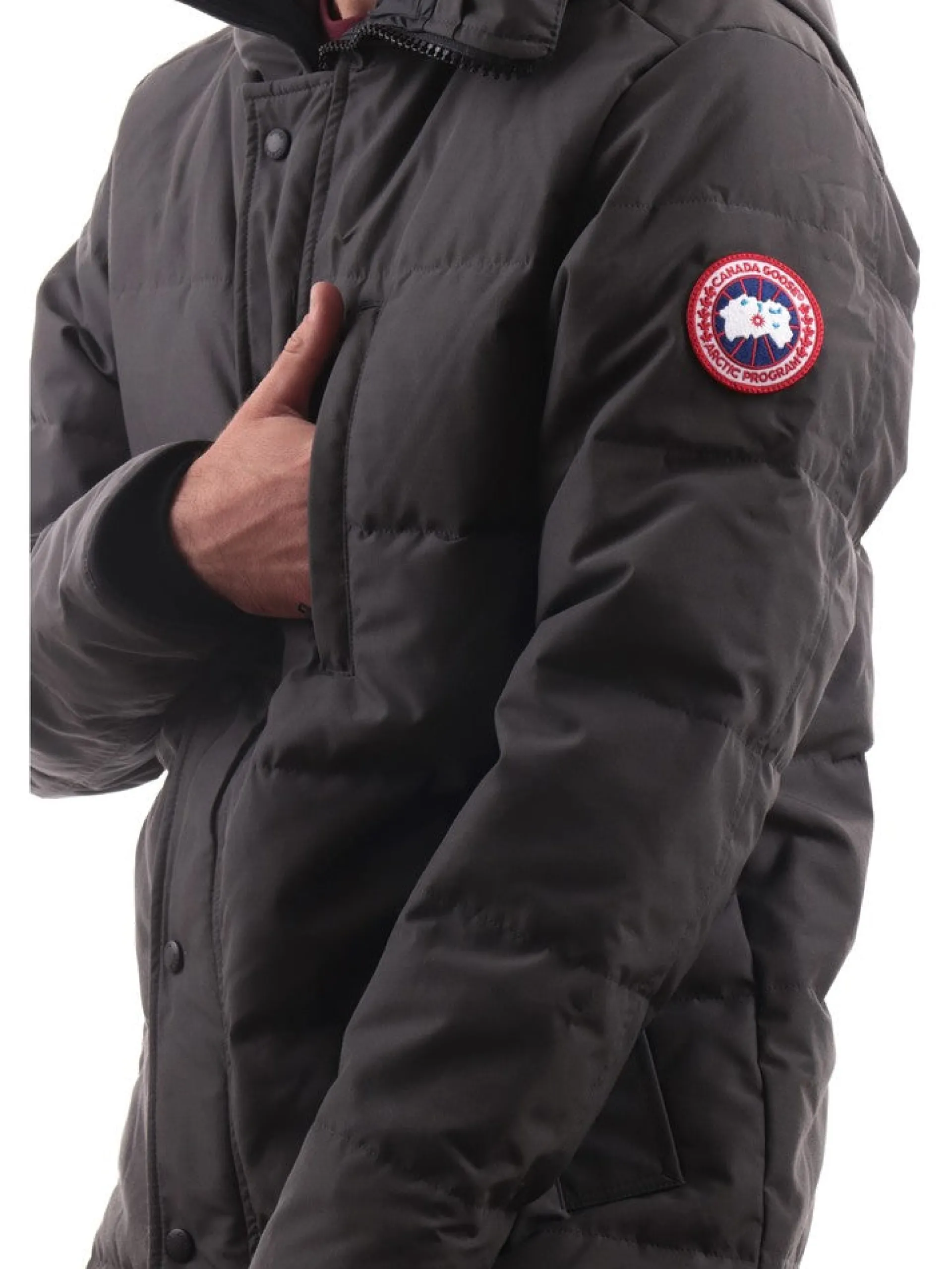 CANADA GOOSE Giubbotti*Giacca Carson Parka Chateau 2079M66